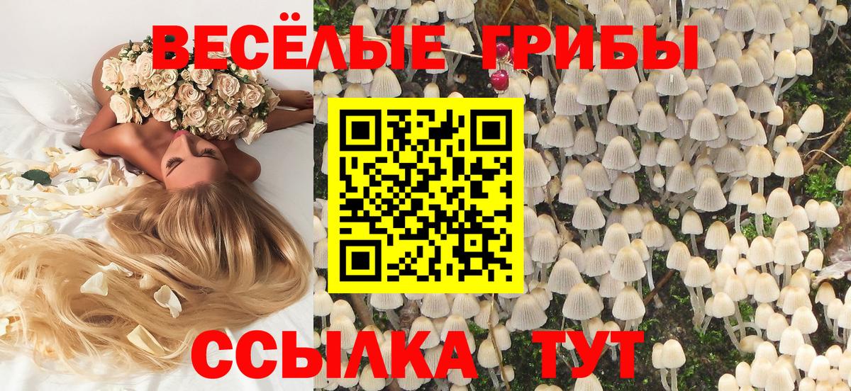 Псилоцибиновые грибы ЛСД  купить наркотики сайты  Элиста  Вход с VPN 